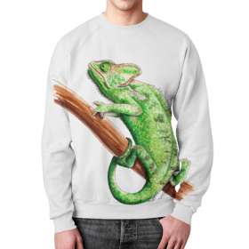 full_print_sweatshirt с принтом Зеленый хамелеон на ветке в Петрозаводске,  |  | 