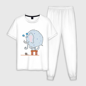 Мужская пижама хлопок с принтом Слон и мыши в Петрозаводске, 100% хлопок | брюки и футболка прямого кроя, без карманов, на брюках мягкая резинка на поясе и по низу штанин
 | животные | испуганный