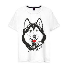 Мужская футболка хлопок с принтом Хаски в Петрозаводске, 100% хлопок | прямой крой, круглый вырез горловины, длина до линии бедер, слегка спущенное плечо. | dog | husky | животные | пес | песики | собака | хаски | хаски бандит