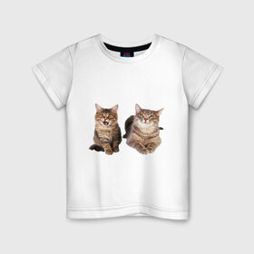 Детская футболка хлопок с принтом Котёнок и кошка в Петрозаводске, 100% хлопок | круглый вырез горловины, полуприлегающий силуэт, длина до линии бедер | киса | котенок | котик | кошка