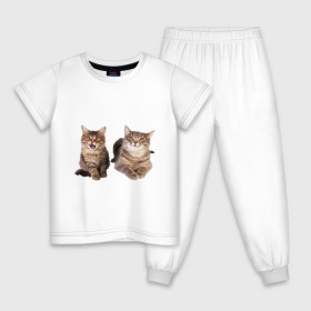 Детская пижама хлопок с принтом Котёнок и кошка в Петрозаводске, 100% хлопок |  брюки и футболка прямого кроя, без карманов, на брюках мягкая резинка на поясе и по низу штанин
 | киса | котенок | котик | кошка