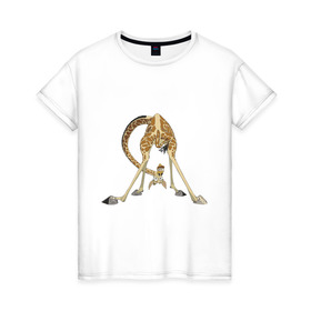Женская футболка хлопок с принтом Мадагаскар (3) в Петрозаводске, 100% хлопок | прямой крой, круглый вырез горловины, длина до линии бедер, слегка спущенное плечо | madagascar | жираф | мадагаскар