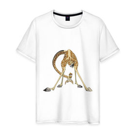 Мужская футболка хлопок с принтом Мадагаскар (3) в Петрозаводске, 100% хлопок | прямой крой, круглый вырез горловины, длина до линии бедер, слегка спущенное плечо. | madagascar | жираф | мадагаскар