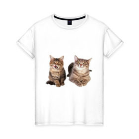 Женская футболка хлопок с принтом Кошка и котёнок в Петрозаводске, 100% хлопок | прямой крой, круглый вырез горловины, длина до линии бедер, слегка спущенное плечо | 