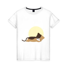 Женская футболка хлопок с принтом Спящий котенок в Петрозаводске, 100% хлопок | прямой крой, круглый вырез горловины, длина до линии бедер, слегка спущенное плечо | 
