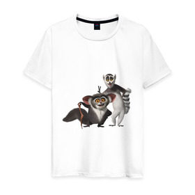 Мужская футболка хлопок с принтом Мадагаскар (11) в Петрозаводске, 100% хлопок | прямой крой, круглый вырез горловины, длина до линии бедер, слегка спущенное плечо. | 