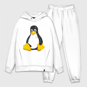 Мужской костюм хлопок OVERSIZE с принтом Linux (7) в Петрозаводске,  |  | пингвин