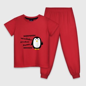 Детская пижама хлопок с принтом Хорошего человека должно быть много в Петрозаводске, 100% хлопок |  брюки и футболка прямого кроя, без карманов, на брюках мягкая резинка на поясе и по низу штанин
 | пингвин