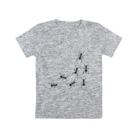 Детская футболка хлопок с принтом муравьи в Петрозаводске, 100% хлопок | круглый вырез горловины, полуприлегающий силуэт, длина до линии бедер | животные | звери | насекомые