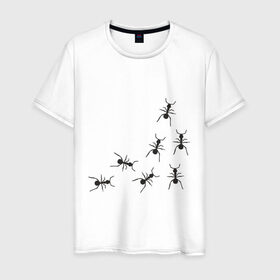 Мужская футболка хлопок с принтом муравьи в Петрозаводске, 100% хлопок | прямой крой, круглый вырез горловины, длина до линии бедер, слегка спущенное плечо. | животные | звери | насекомые