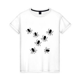 Женская футболка хлопок с принтом пауки в Петрозаводске, 100% хлопок | прямой крой, круглый вырез горловины, длина до линии бедер, слегка спущенное плечо | животные | насекомые | паучки