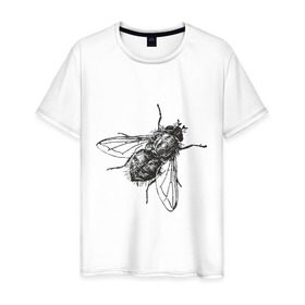 Мужская футболка хлопок с принтом Назойливая муха в Петрозаводске, 100% хлопок | прямой крой, круглый вырез горловины, длина до линии бедер, слегка спущенное плечо. | Тематика изображения на принте: животные | муха | назойливая | назойливая муха | прикольные картинки