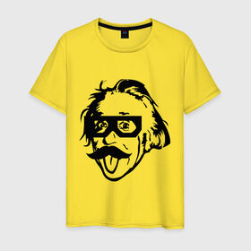 Мужская футболка хлопок с принтом Dubstep Einstein (Дабстеп Эйнштейн) в Петрозаводске, 100% хлопок | прямой крой, круглый вырез горловины, длина до линии бедер, слегка спущенное плечо. | dubstep | даб | дабстеп | эйнштейн