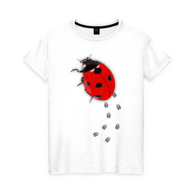 Женская футболка хлопок с принтом Реалистичная божья коровка в Петрозаводске, 100% хлопок | прямой крой, круглый вырез горловины, длина до линии бедер, слегка спущенное плечо | божья коровка | животные | насекомые