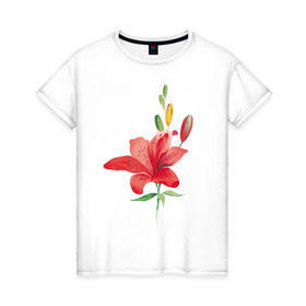 Женская футболка хлопок с принтом Red lily в Петрозаводске, 100% хлопок | прямой крой, круглый вырез горловины, длина до линии бедер, слегка спущенное плечо | 8 марта | букет | красная лилия | лилия | международный женский день | цветы