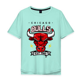 Мужская футболка хлопок Oversize с принтом Chicago bulls swag в Петрозаводске, 100% хлопок | свободный крой, круглый ворот, “спинка” длиннее передней части | булс | чикаго