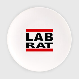 Тарелка с принтом Lab Rat в Петрозаводске, фарфор | диаметр - 210 мм
диаметр для нанесения принта - 120 мм | banksy | бенкси | бэнкси | графити | граффити | стрит арт | стритарт