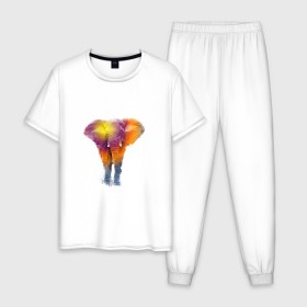 Мужская пижама хлопок с принтом Слон watercolor в Петрозаводске, 100% хлопок | брюки и футболка прямого кроя, без карманов, на брюках мягкая резинка на поясе и по низу штанин
 | слон