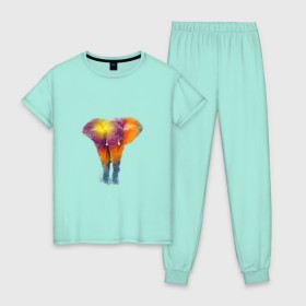 Женская пижама хлопок с принтом Слон watercolor в Петрозаводске, 100% хлопок | брюки и футболка прямого кроя, без карманов, на брюках мягкая резинка на поясе и по низу штанин | слон