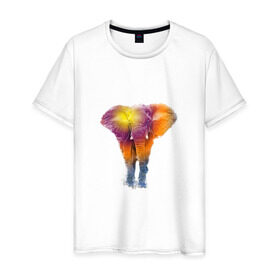 Мужская футболка хлопок с принтом Слон watercolor в Петрозаводске, 100% хлопок | прямой крой, круглый вырез горловины, длина до линии бедер, слегка спущенное плечо. | слон