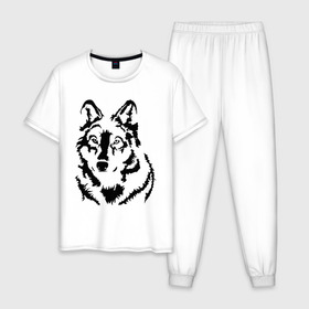 Мужская пижама хлопок с принтом Чёрный волк в Петрозаводске, 100% хлопок | брюки и футболка прямого кроя, без карманов, на брюках мягкая резинка на поясе и по низу штанин
 | волчара | волчица | животное | зверь | хищник