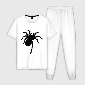 Мужская пижама хлопок с принтом Паук (spider) в Петрозаводске, 100% хлопок | брюки и футболка прямого кроя, без карманов, на брюках мягкая резинка на поясе и по низу штанин
 | насекомые | паутина | паучок | черная вдова | черный паук