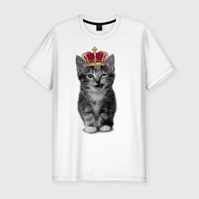 Мужская футболка премиум с принтом Meow kitten в Петрозаводске, 92% хлопок, 8% лайкра | приталенный силуэт, круглый вырез ворота, длина до линии бедра, короткий рукав | kitten | meow | meow kitten | киса | кот | котик | котэ | котяра | кошка | прикольный кот