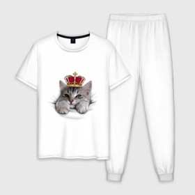 Мужская пижама хлопок с принтом Pretty kitten в Петрозаводске, 100% хлопок | брюки и футболка прямого кроя, без карманов, на брюках мягкая резинка на поясе и по низу штанин
 | kitten | meow | meow kitten | киса | корона | корона на голове кота | кот | кот с короной | котик | котэ | котяра | кошка | прикольный кот