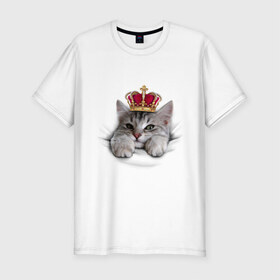 Мужская футболка премиум с принтом Pretty kitten в Петрозаводске, 92% хлопок, 8% лайкра | приталенный силуэт, круглый вырез ворота, длина до линии бедра, короткий рукав | kitten | meow | meow kitten | киса | корона | корона на голове кота | кот | кот с короной | котик | котэ | котяра | кошка | прикольный кот