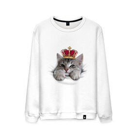 Мужской свитшот хлопок с принтом Pretty kitten в Петрозаводске, 100% хлопок |  | kitten | meow | meow kitten | киса | корона | корона на голове кота | кот | кот с короной | котик | котэ | котяра | кошка | прикольный кот