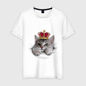 Мужская футболка хлопок с принтом Pretty kitten в Петрозаводске, 100% хлопок | прямой крой, круглый вырез горловины, длина до линии бедер, слегка спущенное плечо. | kitten | meow | meow kitten | киса | корона | корона на голове кота | кот | кот с короной | котик | котэ | котяра | кошка | прикольный кот