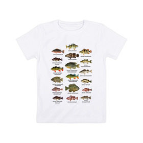 Детская футболка хлопок с принтом Окуни. в Петрозаводске, 100% хлопок | круглый вырез горловины, полуприлегающий силуэт, длина до линии бедер | Тематика изображения на принте: для рыбака | окуни | окунь | подарок рыбаку | рыбаку | рыбалка