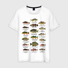 Мужская футболка хлопок с принтом Окуни. в Петрозаводске, 100% хлопок | прямой крой, круглый вырез горловины, длина до линии бедер, слегка спущенное плечо. | для рыбака | окуни | окунь | подарок рыбаку | рыбаку | рыбалка