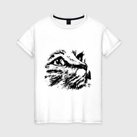 Женская футболка хлопок с принтом Образ кошки в Петрозаводске, 100% хлопок | прямой крой, круглый вырез горловины, длина до линии бедер, слегка спущенное плечо | киса | котенок | кошка