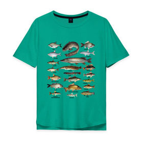 Мужская футболка хлопок Oversize с принтом Популярные виды рыб в Петрозаводске, 100% хлопок | свободный крой, круглый ворот, “спинка” длиннее передней части | рыба | рыбалка | рыбачить | туризм | туристические | туристу | улов