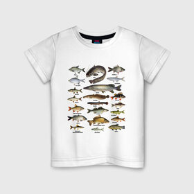 Детская футболка хлопок с принтом Популярные виды рыб в Петрозаводске, 100% хлопок | круглый вырез горловины, полуприлегающий силуэт, длина до линии бедер | рыба | рыбалка | рыбачить | туризм | туристические | туристу | улов