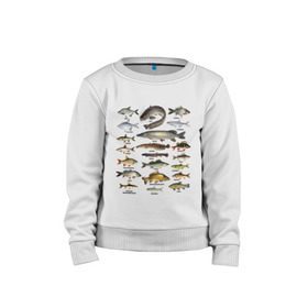 Детский свитшот хлопок с принтом Популярные виды рыб в Петрозаводске, 100% хлопок | круглый вырез горловины, эластичные манжеты, пояс и воротник | рыба | рыбалка | рыбачить | туризм | туристические | туристу | улов