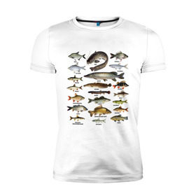 Мужская футболка премиум с принтом Популярные виды рыб в Петрозаводске, 92% хлопок, 8% лайкра | приталенный силуэт, круглый вырез ворота, длина до линии бедра, короткий рукав | Тематика изображения на принте: рыба | рыбалка | рыбачить | туризм | туристические | туристу | улов