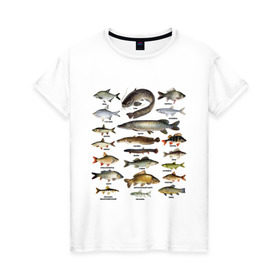 Женская футболка хлопок с принтом Популярные виды рыб в Петрозаводске, 100% хлопок | прямой крой, круглый вырез горловины, длина до линии бедер, слегка спущенное плечо | рыба | рыбалка | рыбачить | туризм | туристические | туристу | улов