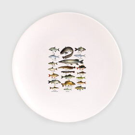 Тарелка 3D с принтом Популярные виды рыб в Петрозаводске, фарфор | диаметр - 210 мм
диаметр для нанесения принта - 120 мм | рыба | рыбалка | рыбачить | туризм | туристические | туристу | улов