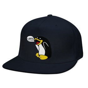 Кепка снепбек с прямым козырьком с принтом Пингвин: Linux в Петрозаводске, хлопок 100% |  | пингвин