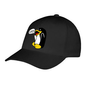 Бейсболка с принтом Пингвин: Linux в Петрозаводске, 100% хлопок | классический козырек, металлическая застежка-регулятор размера | пингвин