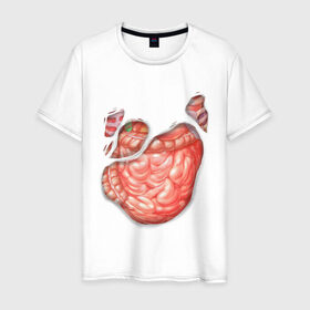 Мужская футболка хлопок с принтом Внутренности в Петрозаводске, 100% хлопок | прямой крой, круглый вырез горловины, длина до линии бедер, слегка спущенное плечо. | anatomy | guts | internal organs | torn t shirt | анатомия | внутренности | кишки | органы