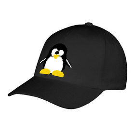 Бейсболка с принтом Битовый пингвин Linux в Петрозаводске, 100% хлопок | классический козырек, металлическая застежка-регулятор размера | Тематика изображения на принте: админам | компьютерные | линукс | операционная система | ос
