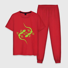 Мужская пижама хлопок с принтом Ящерицы в Петрозаводске, 100% хлопок | брюки и футболка прямого кроя, без карманов, на брюках мягкая резинка на поясе и по низу штанин
 | зеленый | ящерки | ящеры