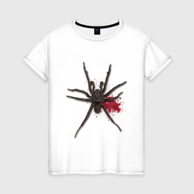 Женская футболка хлопок с принтом Паук в Петрозаводске, 100% хлопок | прямой крой, круглый вырез горловины, длина до линии бедер, слегка спущенное плечо | кровь | птицеед | тарантул