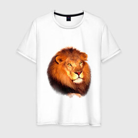 Мужская футболка хлопок с принтом Лев в Петрозаводске, 100% хлопок | прямой крой, круглый вырез горловины, длина до линии бедер, слегка спущенное плечо. | animals | lion | mountain | животные | лев | прикольные картинки