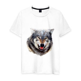 Мужская футболка хлопок с принтом Волк в Петрозаводске, 100% хлопок | прямой крой, круглый вырез горловины, длина до линии бедер, слегка спущенное плечо. | animals | mountain | wolf | волк | животные | прикольные картинки