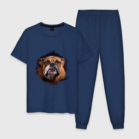 Мужская пижама хлопок с принтом Бульдог в Петрозаводске, 100% хлопок | брюки и футболка прямого кроя, без карманов, на брюках мягкая резинка на поясе и по низу штанин
 | animals | dog | mountain | бульдог | животные | прикольные картинки | собака
