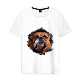 Мужская футболка хлопок с принтом Бульдог в Петрозаводске, 100% хлопок | прямой крой, круглый вырез горловины, длина до линии бедер, слегка спущенное плечо. | animals | dog | mountain | бульдог | животные | прикольные картинки | собака